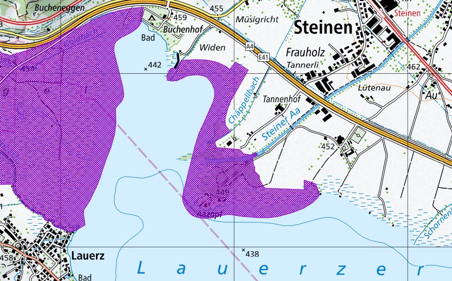 Landeskarte swisstopo mit dem Schutzperimeter von Aazopf (Amphibienlaichgebiet)