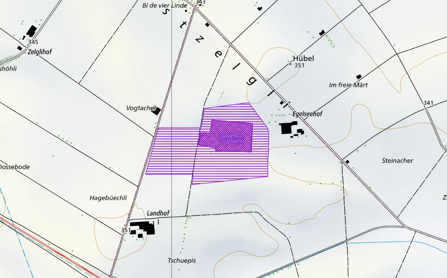 swisstopo national map showing the protected perimeter of Ägelsee (Amphibian spawning site)