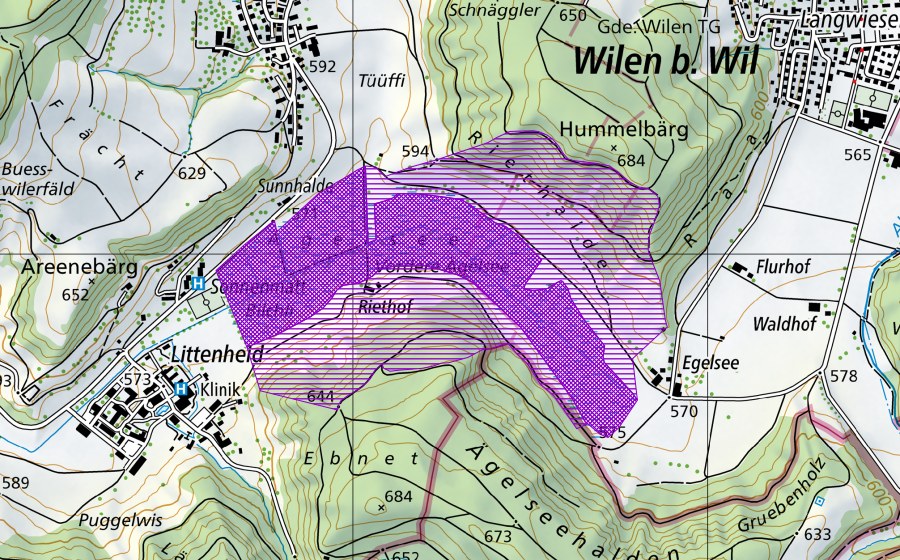 Landeskarte swisstopo mit dem Schutzperimeter von Ägelsee (Amphibienlaichgebiet)
