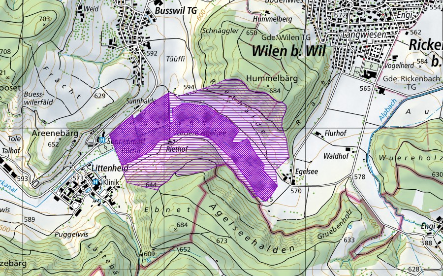 Landeskarte swisstopo mit dem Schutzperimeter von Ägelsee (Amphibienlaichgebiet)