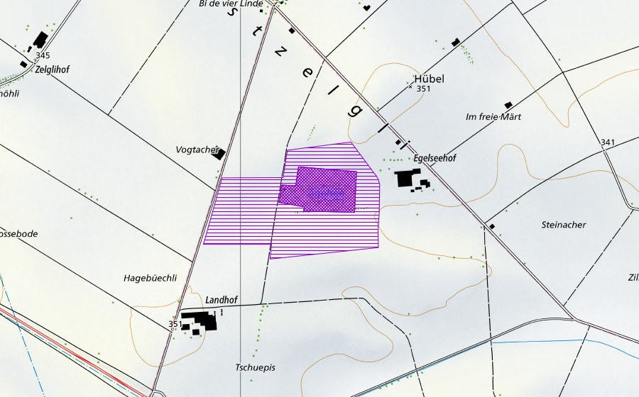 Landeskarte swisstopo mit dem Schutzperimeter von Ägelsee (Amphibienlaichgebiet)