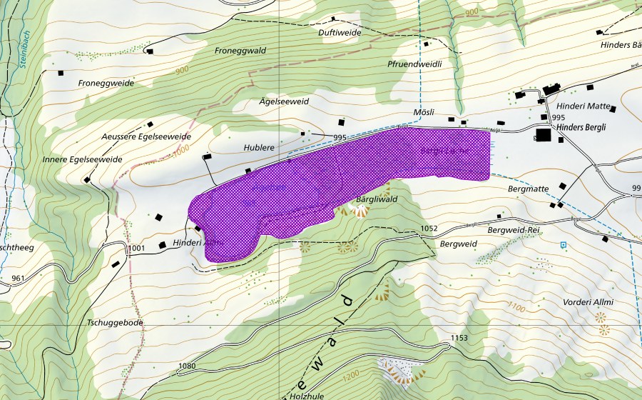 Landeskarte swisstopo mit dem Schutzperimeter von Ägelsee-Moor (Amphibienlaichgebiet)