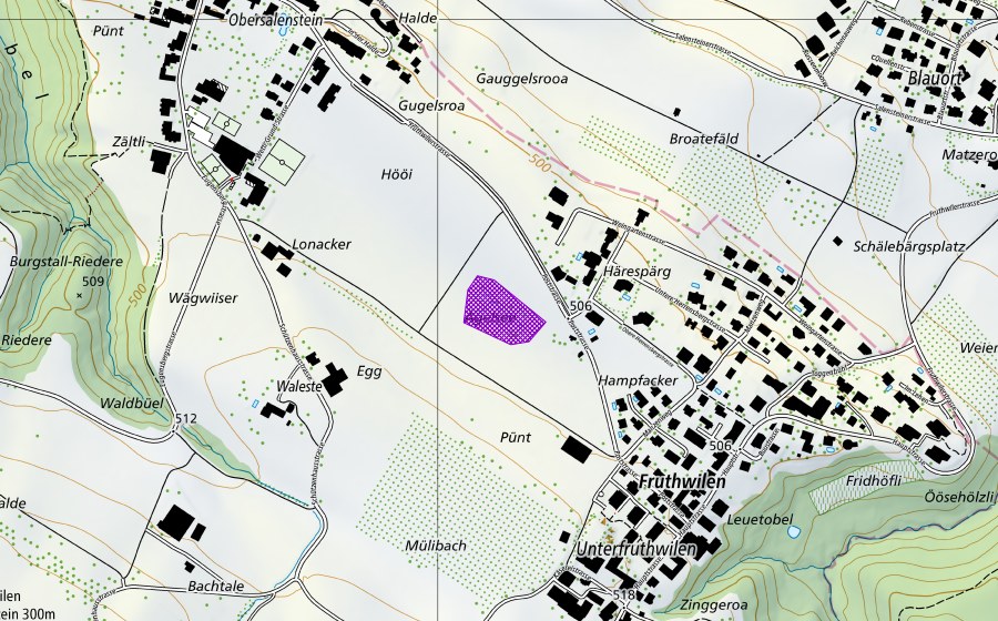Carte nationale swisstopo avec le périmètre protégé de Ägelsee (Site de reproduction de batraciens)