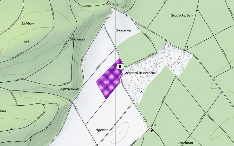 swisstopo national map showing the protected perimeter of Ägertengrube (Amphibian spawning site)