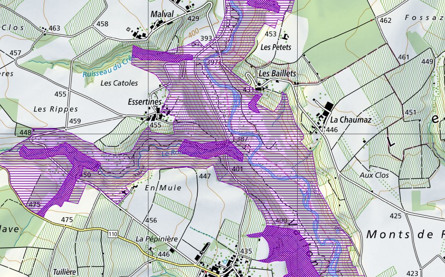 swisstopo national map showing the protected perimeter of Allondon (Amphibian spawning site)