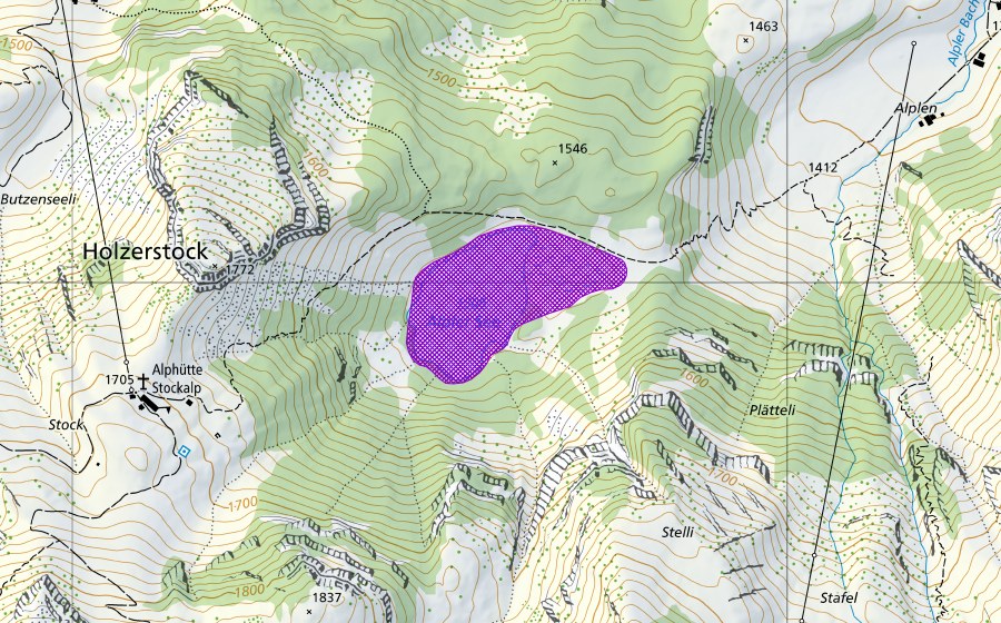 Landeskarte swisstopo mit dem Schutzperimeter von Alpler See (Amphibienlaichgebiet)