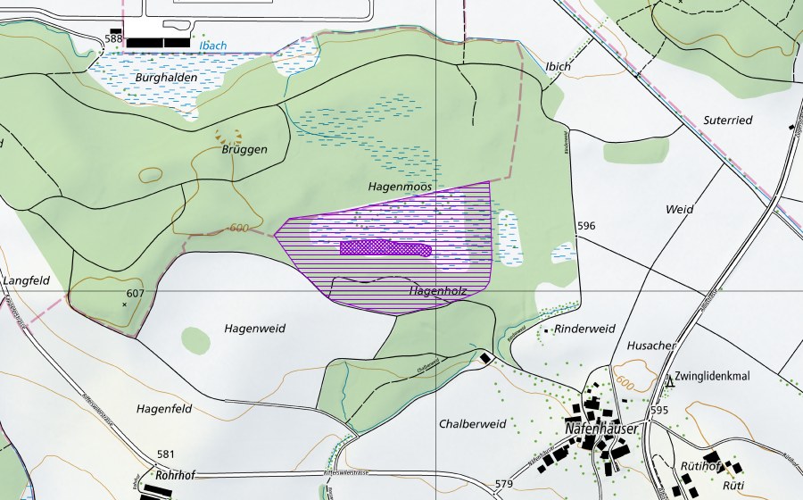 Landeskarte swisstopo mit dem Schutzperimeter von Alter Torfstich im Hagenholz (Amphibienlaichgebiet)