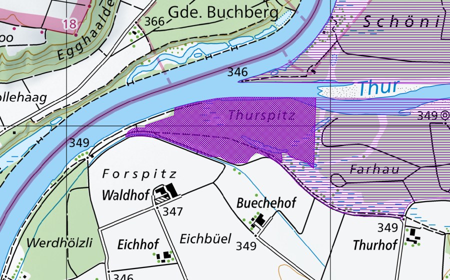 swisstopo national map showing the protected perimeter of Altwässer Thurspitz (Amphibian spawning site)