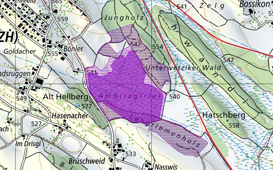 swisstopo national map showing the protected perimeter of Ambitzgi-/Bönlerried (Amphibian spawning site)