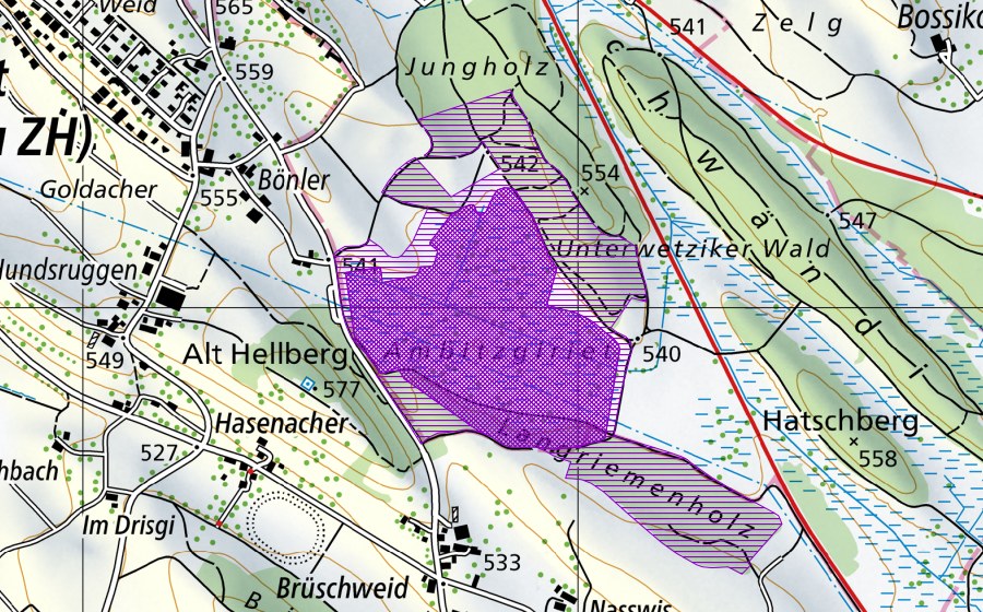 Carta nazionale swisstopo con il perimetro protetto di Ambitzgi-/Bönlerried (Sito di riproduzione di anfibi)