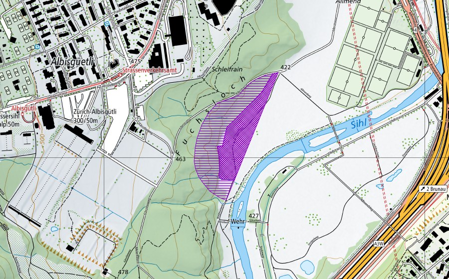Landeskarte swisstopo mit dem Schutzperimeter von Amphibienbiotope Allmend III (Amphibienlaichgebiet)