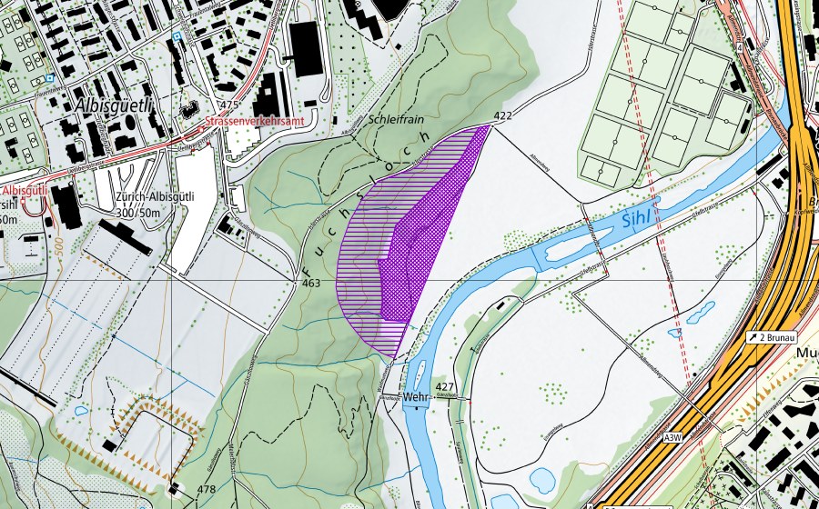 swisstopo national map showing the protected perimeter of Amphibienbiotope Allmend III (Amphibian spawning site)