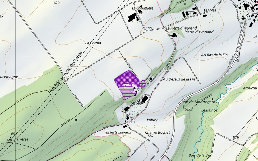 Landeskarte swisstopo mit dem Schutzperimeter von Ancienne carrière Les Saus (Amphibienlaichgebiet)