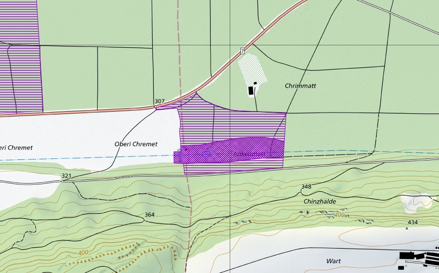 swisstopo national map showing the protected perimeter of Ankematt (Amphibian spawning site)
