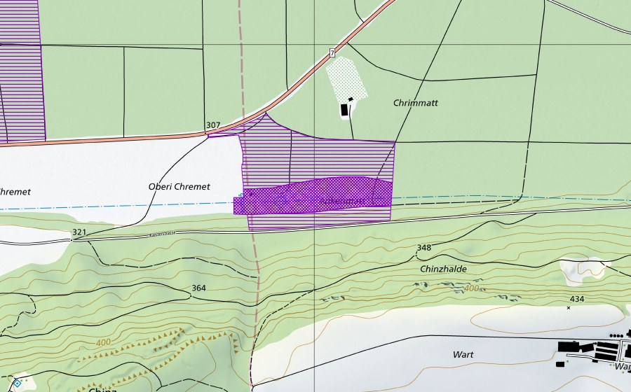 Landeskarte swisstopo mit dem Schutzperimeter von Ankematt (Amphibienlaichgebiet)