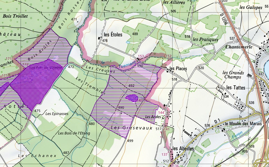 swisstopo national map showing the protected perimeter of Arales (Amphibian spawning site)