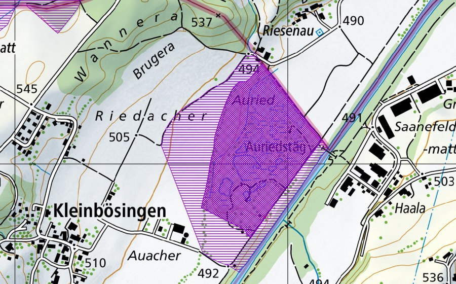 Carte nationale swisstopo avec le périmètre protégé de Auried (Site de reproduction de batraciens)