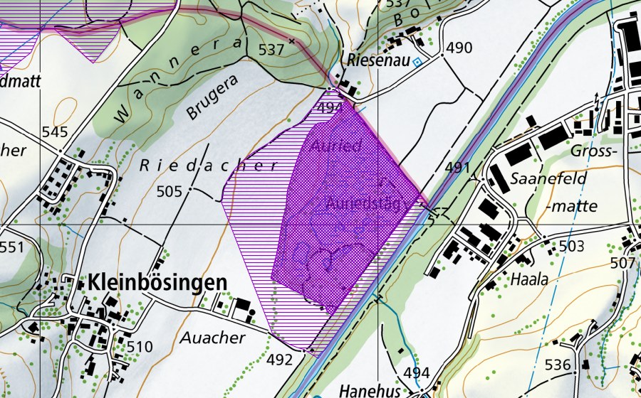 Landeskarte swisstopo mit dem Schutzperimeter von Auried (Amphibienlaichgebiet)