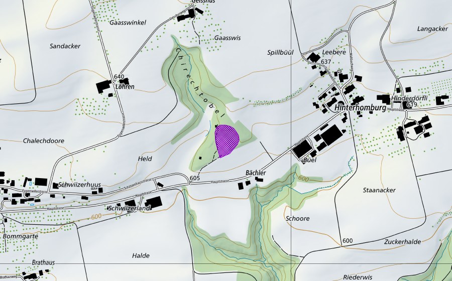 Carte nationale swisstopo avec le périmètre protégé de Bächler (Site de reproduction de batraciens)