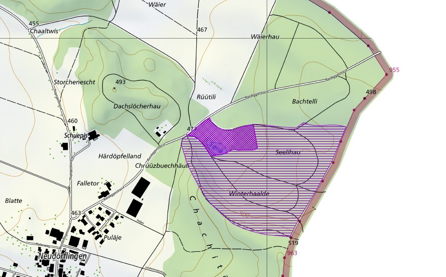 Carte nationale swisstopo avec le périmètre protégé de Bachtelli/Seeli (Site de reproduction de batraciens)