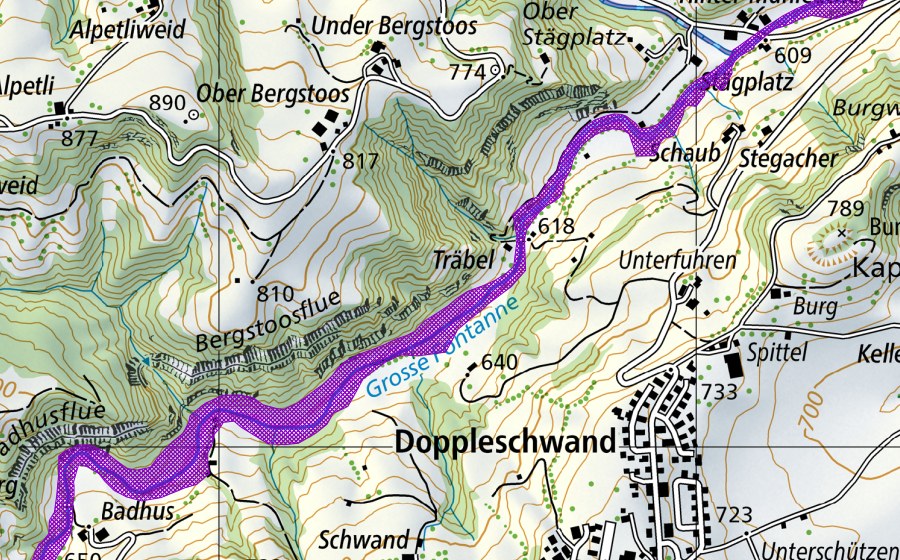 swisstopo national map showing the protected perimeter of Badhusaue-Fontanne (Amphibian spawning site)