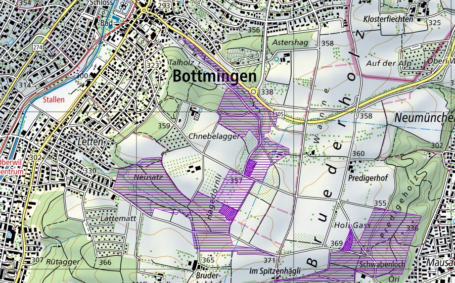 swisstopo national map showing the protected perimeter of Bammertsgraben (Amphibian spawning site)