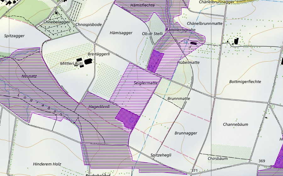 Landeskarte swisstopo mit dem Schutzperimeter von Bammertsgraben (Amphibienlaichgebiet)