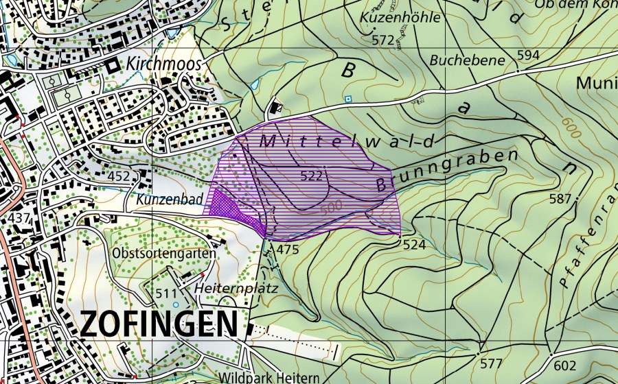 Carte nationale swisstopo avec le périmètre protégé de Bärenmoosweiher (Site de reproduction de batraciens)