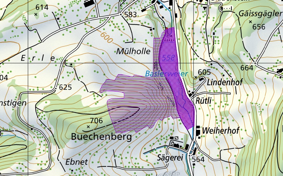 Carte nationale swisstopo avec le périmètre protégé de Baslerweier (Site de reproduction de batraciens)