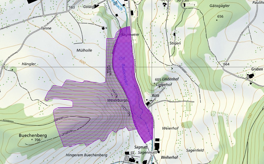 Carte nationale swisstopo avec le périmètre protégé de Baslerweier (Site de reproduction de batraciens)