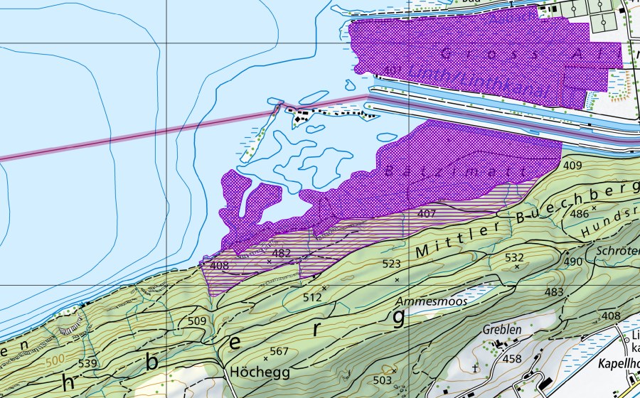 Landeskarte swisstopo mit dem Schutzperimeter von Bätzimatt (Amphibienlaichgebiet)
