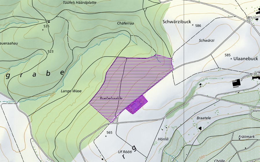 Landeskarte swisstopo mit dem Schutzperimeter von Becken Rüti (Amphibienlaichgebiet)