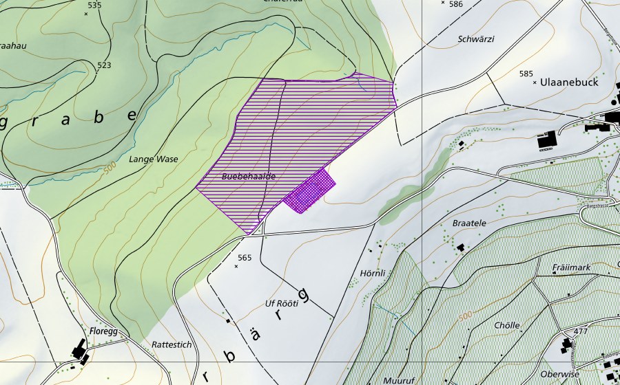 Landeskarte swisstopo mit dem Schutzperimeter von Becken Rüti (Amphibienlaichgebiet)