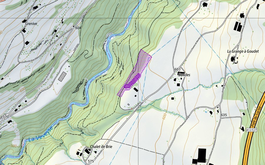 swisstopo national map showing the protected perimeter of Bendes (Amphibian spawning site)