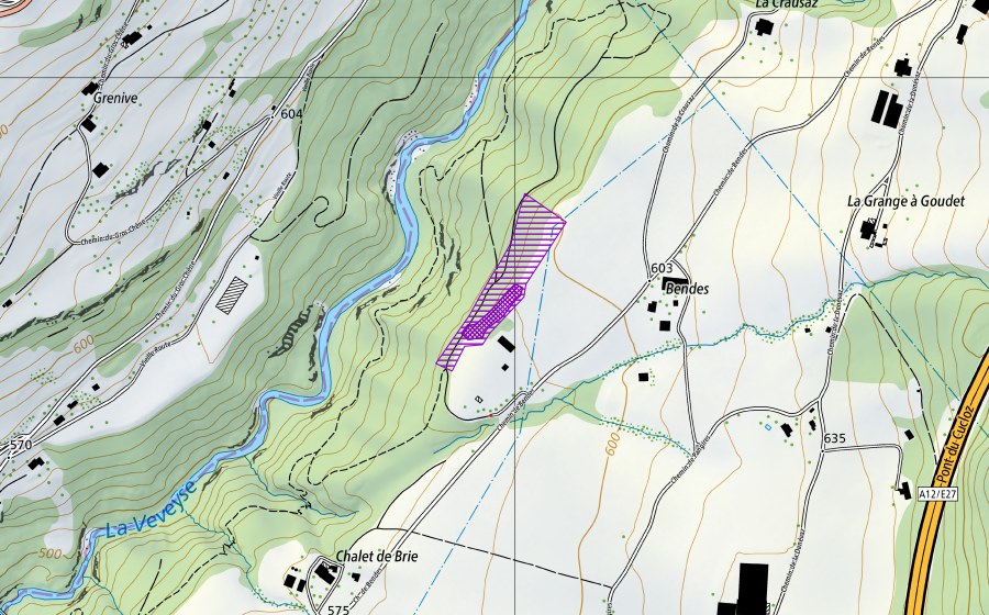 Carte nationale swisstopo avec le périmètre protégé de Bendes (Site de reproduction de batraciens)
