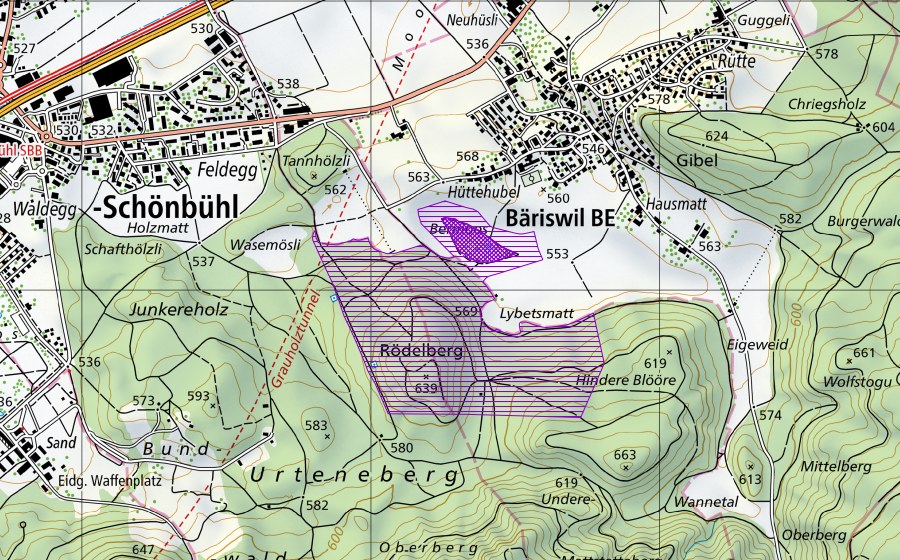 Landeskarte swisstopo mit dem Schutzperimeter von Bermoos (Amphibienlaichgebiet)