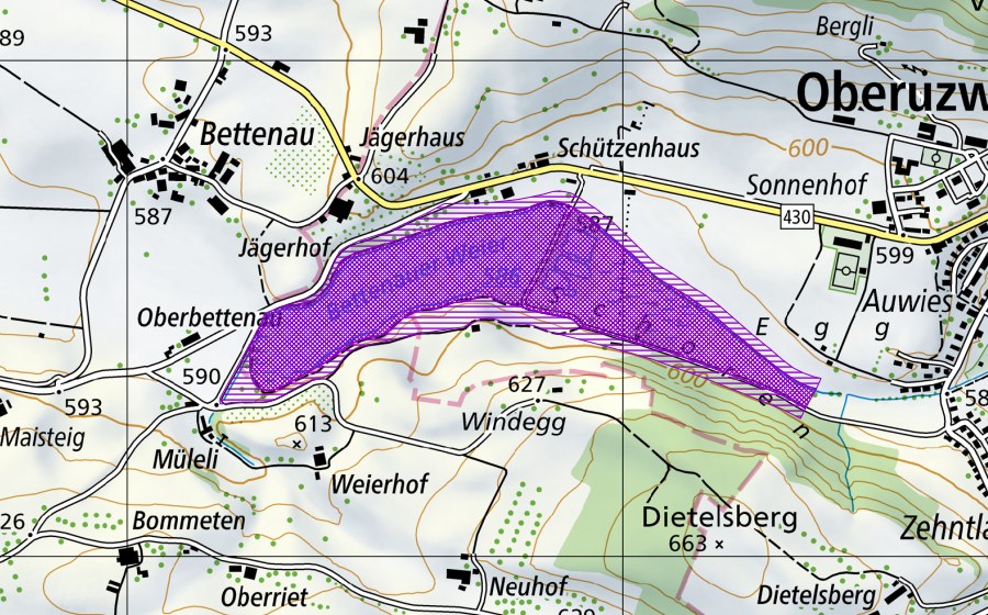 Carte nationale swisstopo avec le périmètre protégé de Bettenauerweier (Site de reproduction de batraciens)