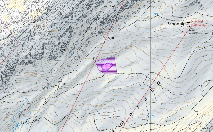 swisstopo national map showing the protected perimeter of Bettmeralp (Amphibian spawning site)