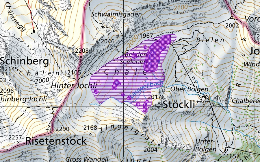 swisstopo national map showing the protected perimeter of Bi den Seelenen (Amphibian spawning site)