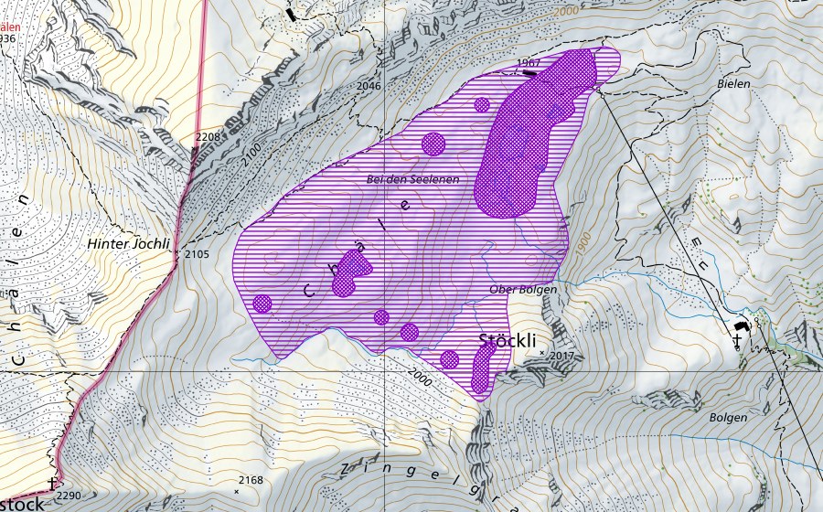 Landeskarte swisstopo mit dem Schutzperimeter von Bi den Seelenen (Amphibienlaichgebiet)