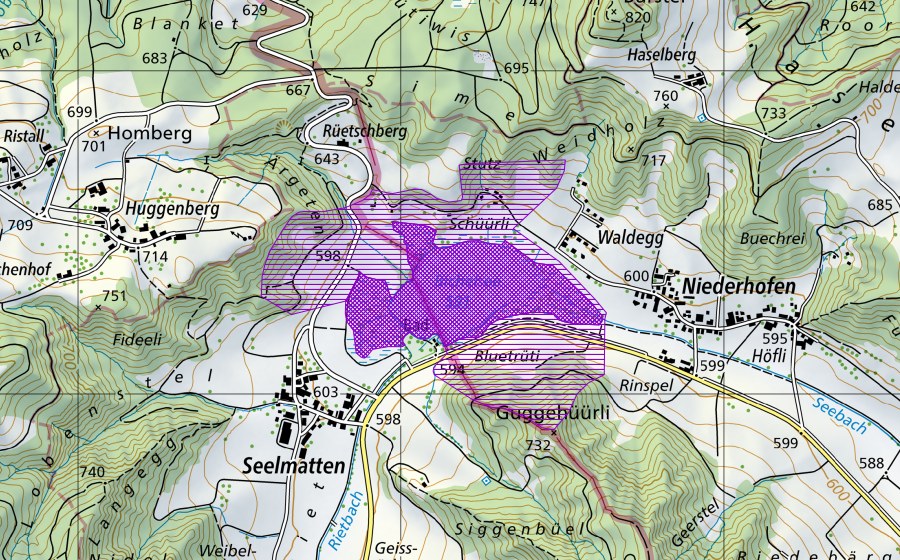 Carta nazionale swisstopo con il perimetro protetto di Bichelsee (Sito di riproduzione di anfibi)
