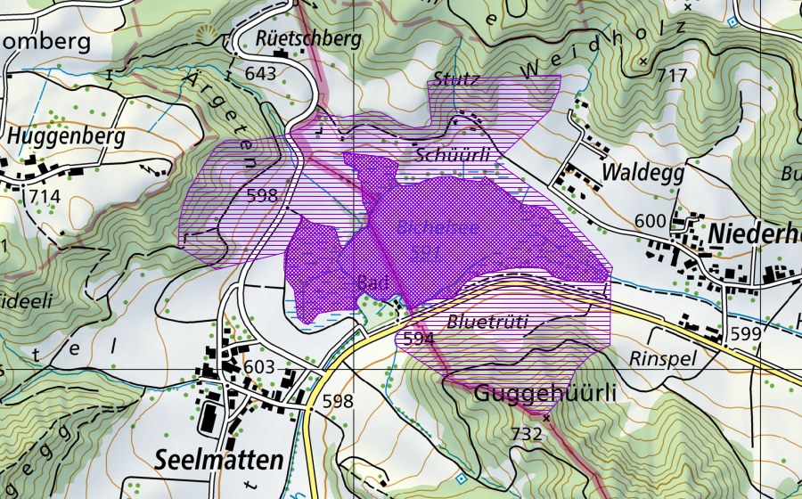Carta nazionale swisstopo con il perimetro protetto di Bichelsee (Sito di riproduzione di anfibi)