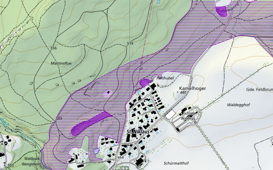 swisstopo national map showing the protected perimeter of Biedermannsgrube (Amphibian spawning site)
