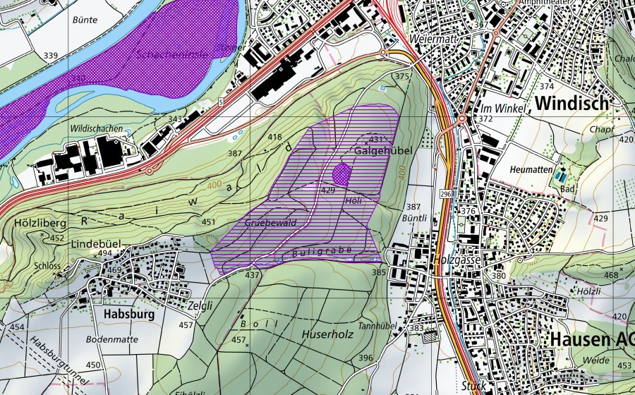 Carte nationale swisstopo avec le périmètre protégé de Binsenweiher (Site de reproduction de batraciens)