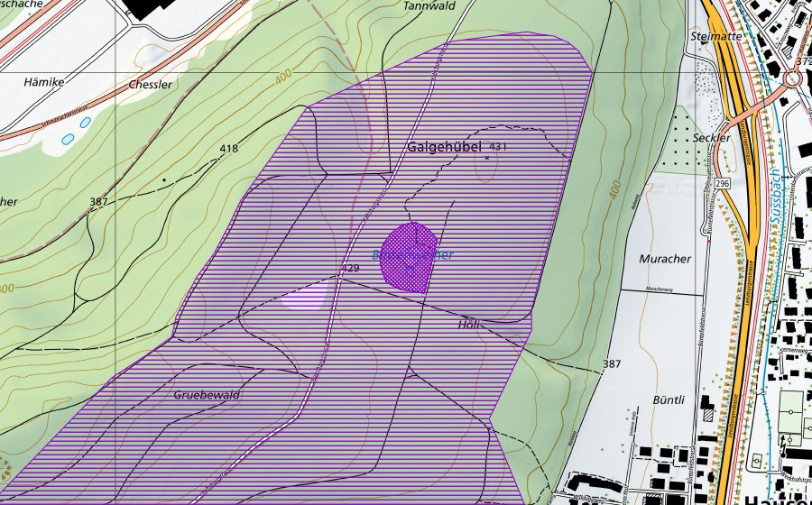 Landeskarte swisstopo mit dem Schutzperimeter von Binsenweiher (Amphibienlaichgebiet)