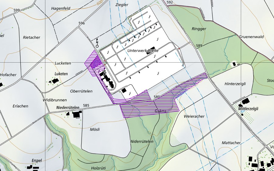 Landeskarte swisstopo mit dem Schutzperimeter von Biotop bei NOK Breite (Amphibienlaichgebiet)