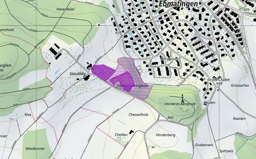 Landeskarte swisstopo mit dem Schutzperimeter von Biotop Süessplätz (Amphibienlaichgebiet)