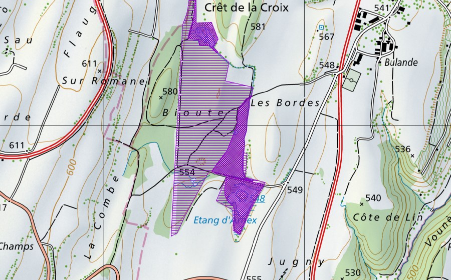 Carta nazionale swisstopo con il perimetro protetto di Bioute, Etang d'Arnex (Sito di riproduzione di anfibi)