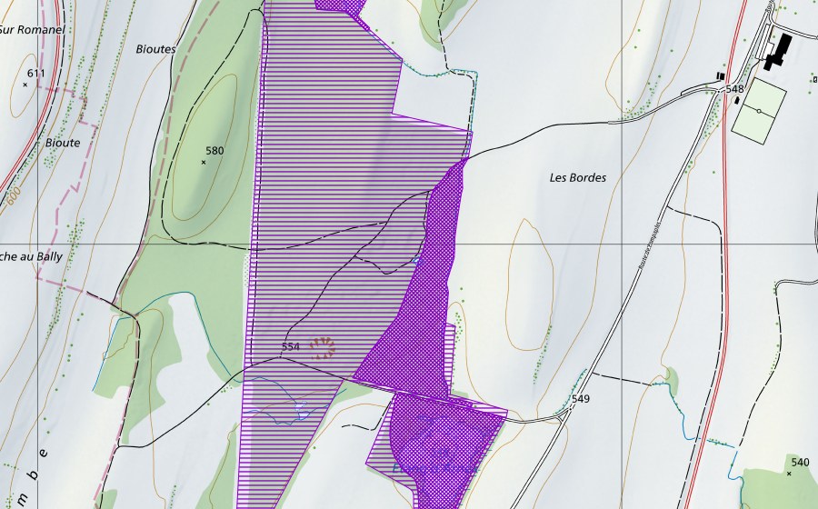 Landeskarte swisstopo mit dem Schutzperimeter von Bioute, Etang d'Arnex (Amphibienlaichgebiet)
