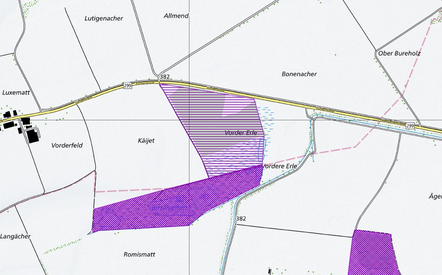 Carte nationale swisstopo avec le périmètre protégé de Birri-Weiher (Site de reproduction de batraciens)